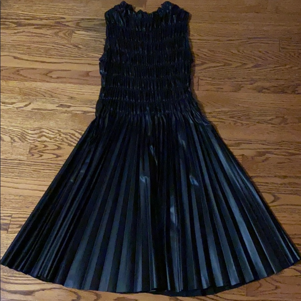 Faux leather Zara dress.